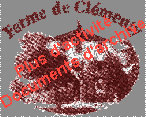 logo transparent