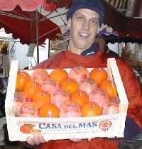 Cageot d'oranges Casa del Mas